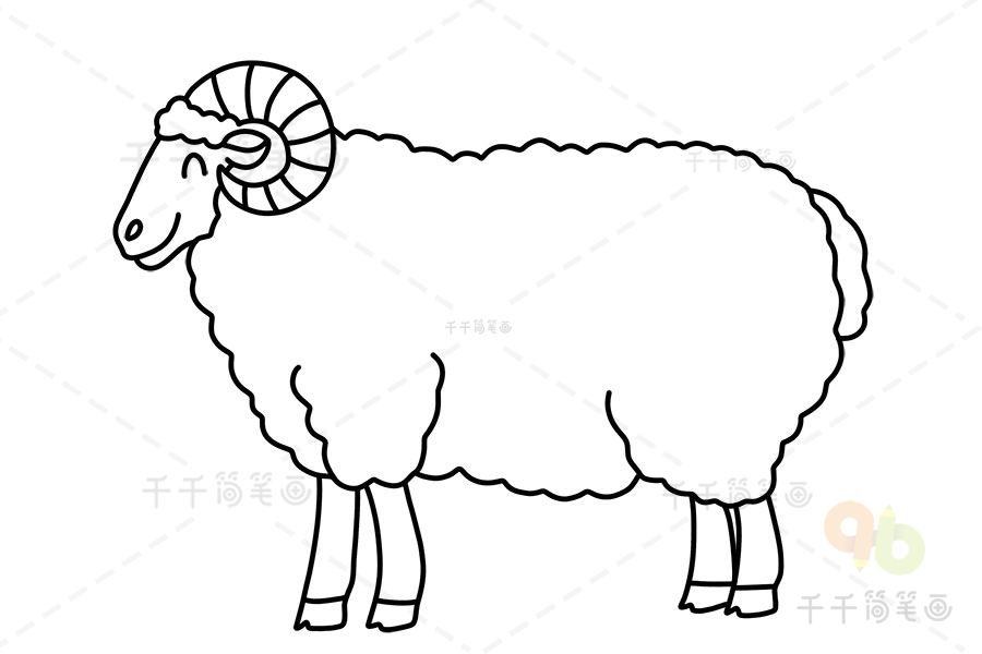 羊画法 简单图片