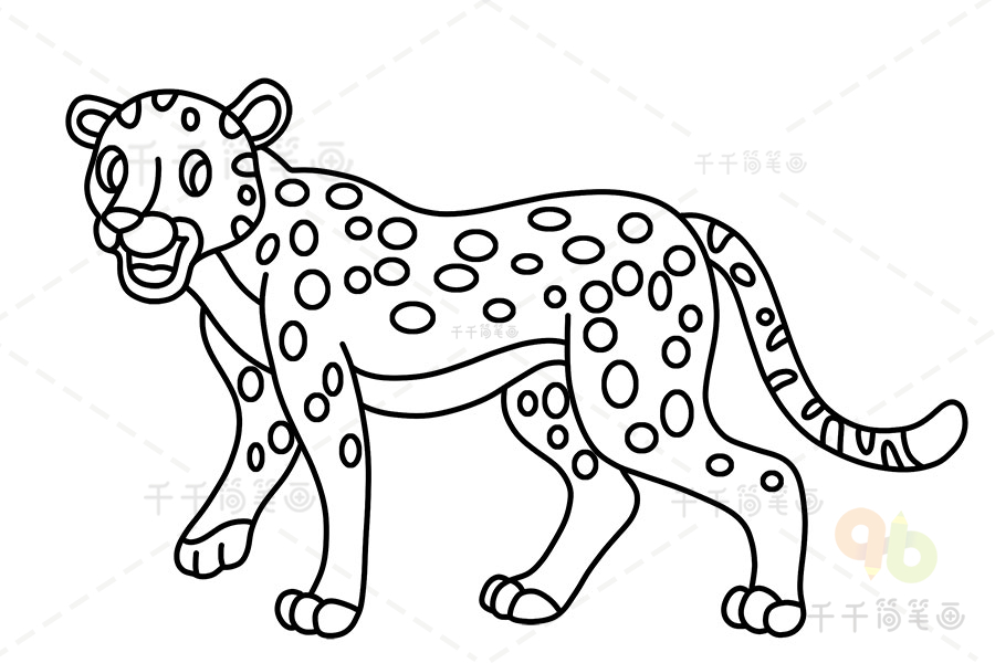豹子儿童简笔画猎豹图片
