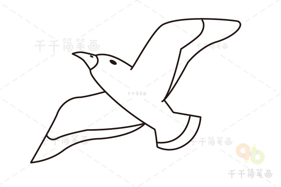 海鹤简笔画图片