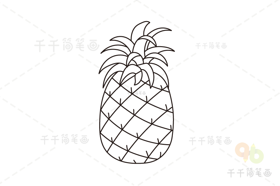 菠萝简笔画法教程